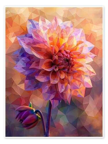 Poster Pink Dahlia