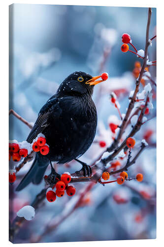 Quadro em tela Blackbird in winter with red berries