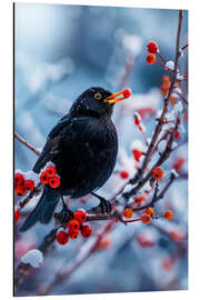 Magnettafel Amsel im Winter mit roten Beeren