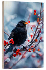 Tableau en bois Blackbird in winter with red berries