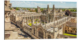 Obraz na aluminium All Souls College, Oxford, England - Olaf Protze