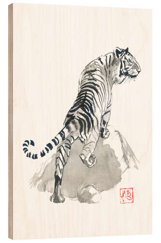 Trebilde Tiger on the rocks