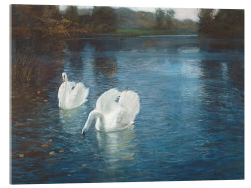 Akryylilasitaulu Swans on the River, 1880