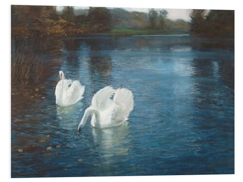 Obraz na PCV Swans on the River, 1880