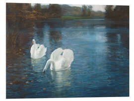 PVC print Swans on the River, 1880