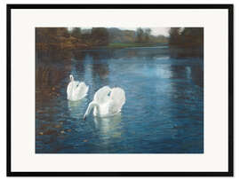 Plakat artystyczny premium w ramie Swans on the River, 1880