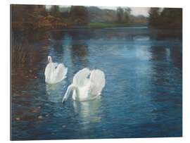 Galleriataulu Swans on the River, 1880