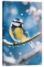 Canvastavla Bluetit in winter