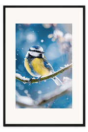 Gerahmter Kunstdruck Blaumeise im Winter