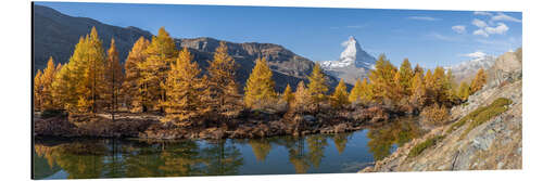 Obraz na aluminium Grindjisee Panorama in autumn with view of the Matterhorn