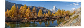 Obraz na aluminium Grindjisee Panorama in autumn with view of the Matterhorn - Jan Christopher Becke