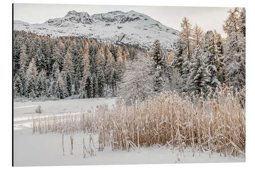 Aluminium print Winter landscape at Lake Staz, Engadin, Switzerland