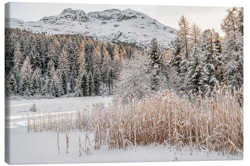 Lerretsbilde Winter landscape at Lake Staz, Engadin, Switzerland