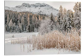 Gallery Print Winterlandschaft am Stazersee, Engadin, Schweiz