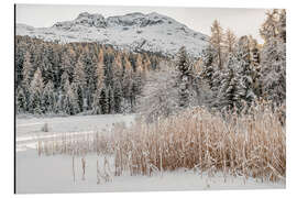 Magnettafel Winterlandschaft am Stazersee, Engadin, Schweiz