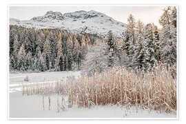 Wandbild Winterlandschaft am Stazersee, Engadin, Schweiz - Olaf Protze