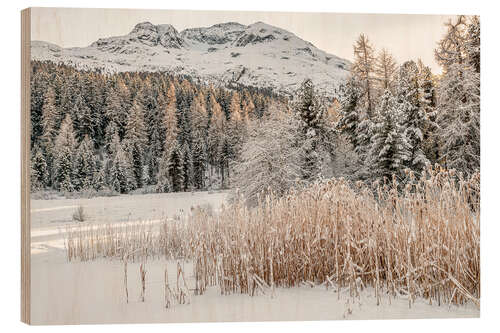 Trätavla Winter landscape at Lake Staz, Engadin, Switzerland