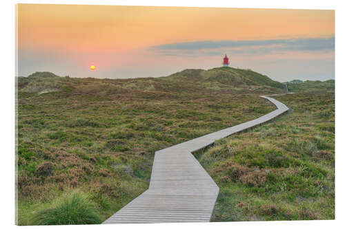 Akrylbillede In the dunes near the lighthouse on Amrum