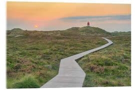 Akrylbillede In the dunes near the lighthouse on Amrum - Michael Valjak