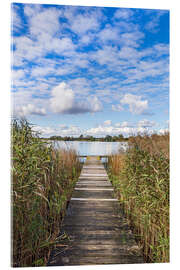 Akrylbillede Pier and reeds at Lake Krakow, Serrahn, Germany - Rico Ködder