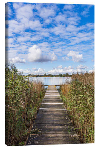 Canvas print Pier and reeds at Lake Krakow, Serrahn, Germany