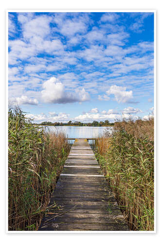 Poster Pier and reeds at Lake Krakow, Serrahn, Germany