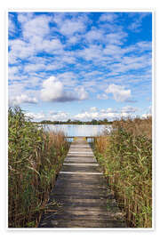 Wall print Pier and reeds at Lake Krakow, Serrahn, Germany - Rico Ködder