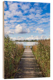 Wood print Pier and reeds at Lake Krakow, Serrahn, Germany - Rico Ködder