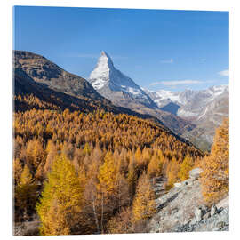 Acrylic print Matterhorn and larches in autumn - Jan Christopher Becke