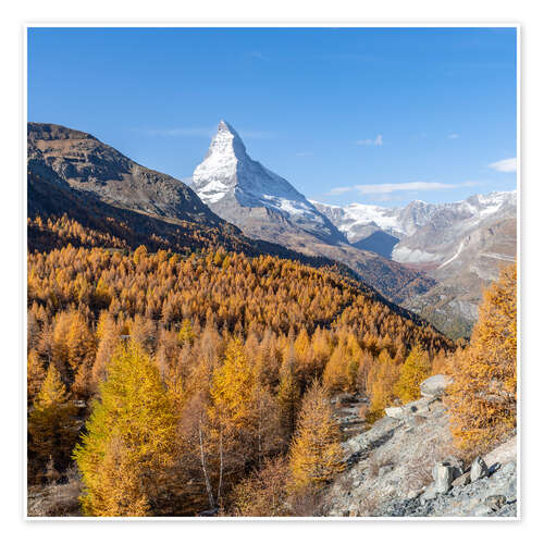 Poster Matterhorn and larches in autumn