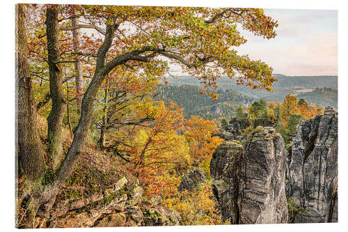Akrylbilde Saxon Switzerland autumn landscape, Germany