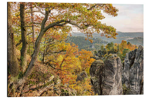 Aluminium print Saxon Switzerland autumn landscape, Germany