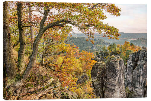 Canvastavla Saxon Switzerland autumn landscape, Germany