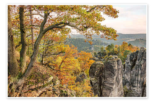 Poster Saxon Switzerland autumn landscape, Germany