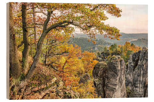 Obraz na drewnie Saxon Switzerland autumn landscape, Germany