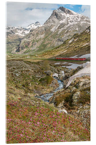 Acrylic print Railway at the Bernina Pass, Switzerland