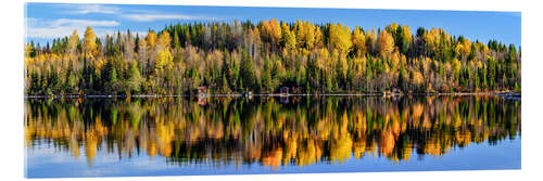 Tableau en verre acrylique Autumn in the north of Sweden, Vildmarksvägen