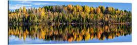 Obraz na aluminium Autumn in the north of Sweden, Vildmarksvägen - Achim Thomae