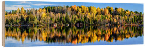 Cuadro de madera Autumn in the north of Sweden, Vildmarksvägen
