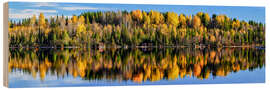 Cuadro de madera Autumn in the north of Sweden, Vildmarksvägen - Achim Thomae
