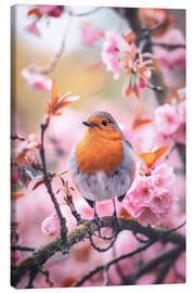 Tableau sur toile Robin with pink cherry blossoms