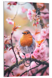 Gallery Print Rotkehlchen mit rosa Kirschblüten