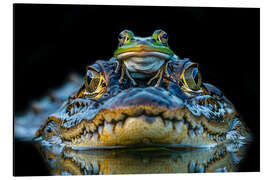 Cuadro de aluminio Frog Drives Crocodile Taxi - Peter Roder