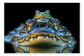 Wall print Frog Drives Crocodile Taxi - Peter Roder