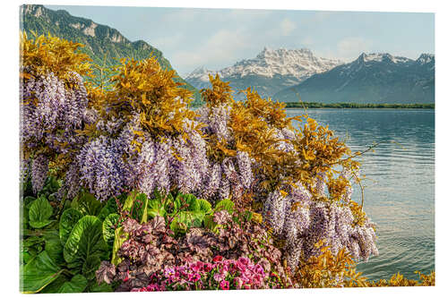 Acrylic print Flowers on Lake Geneva, Switzerland