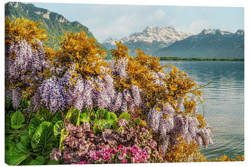 Obraz na płótnie Flowers on Lake Geneva, Switzerland