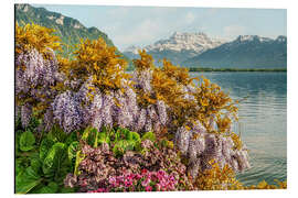 Magnettafel Blumen am Genfer See, Schweiz