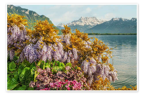 Poster Blumen am Genfer See, Schweiz