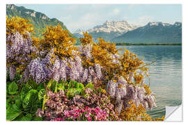 Wandsticker Blumen am Genfer See, Schweiz