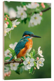 Tableau en bois Kingfisher with cherry blossoms